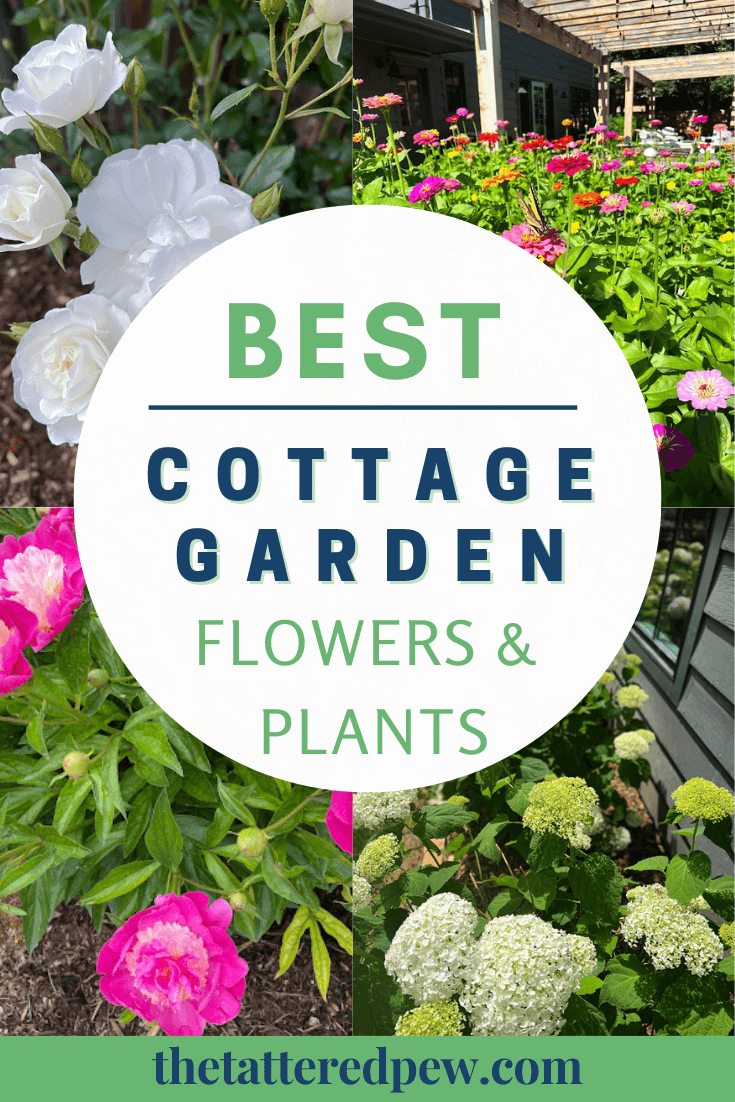 Best Cottage Garden Flowers and Plants