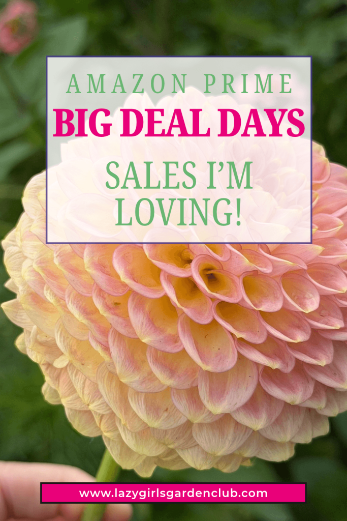 Amazon Prime Big Deal Days Sales I'm loving