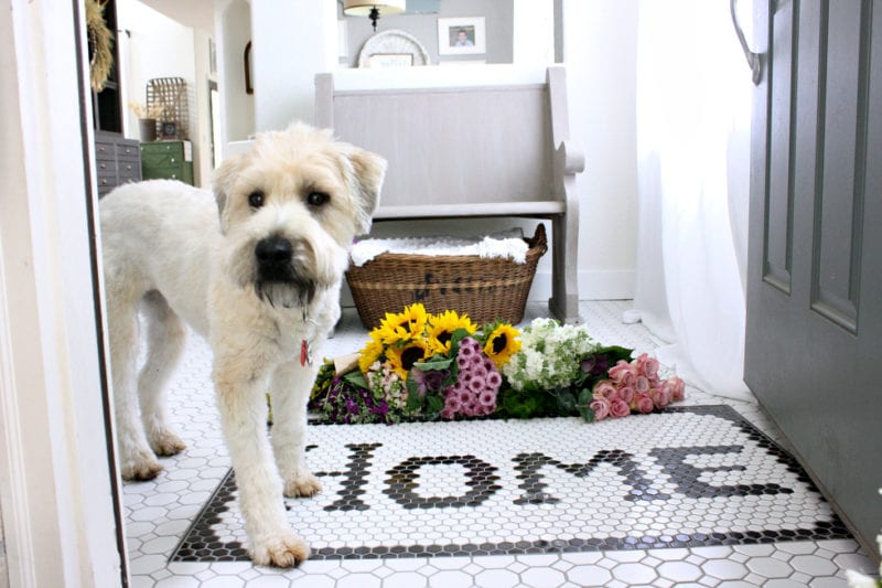 Welcom home to our newly made over black and white entryway.