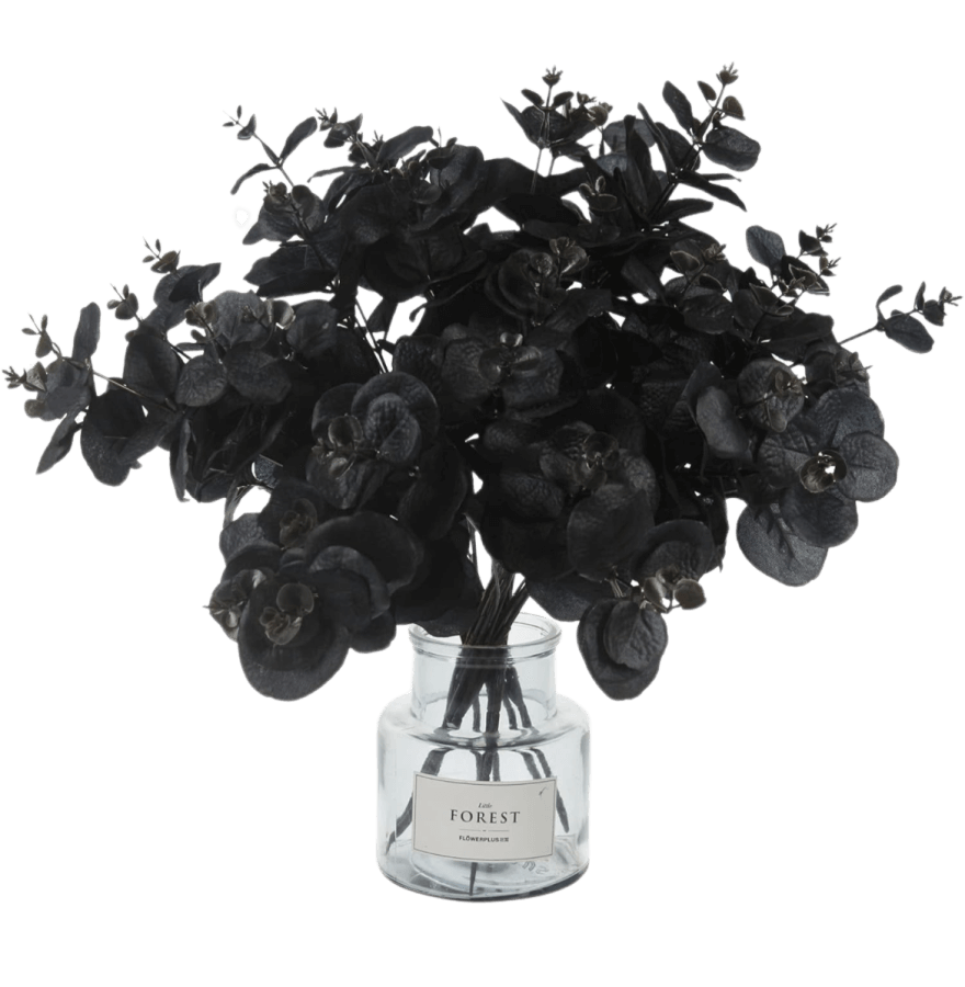 black eucalyptus for Halloween decor