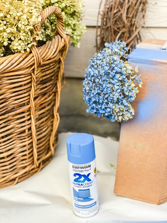 Blue spray paint not only adds color to your dried hydrangeas byt protects and seals them too!