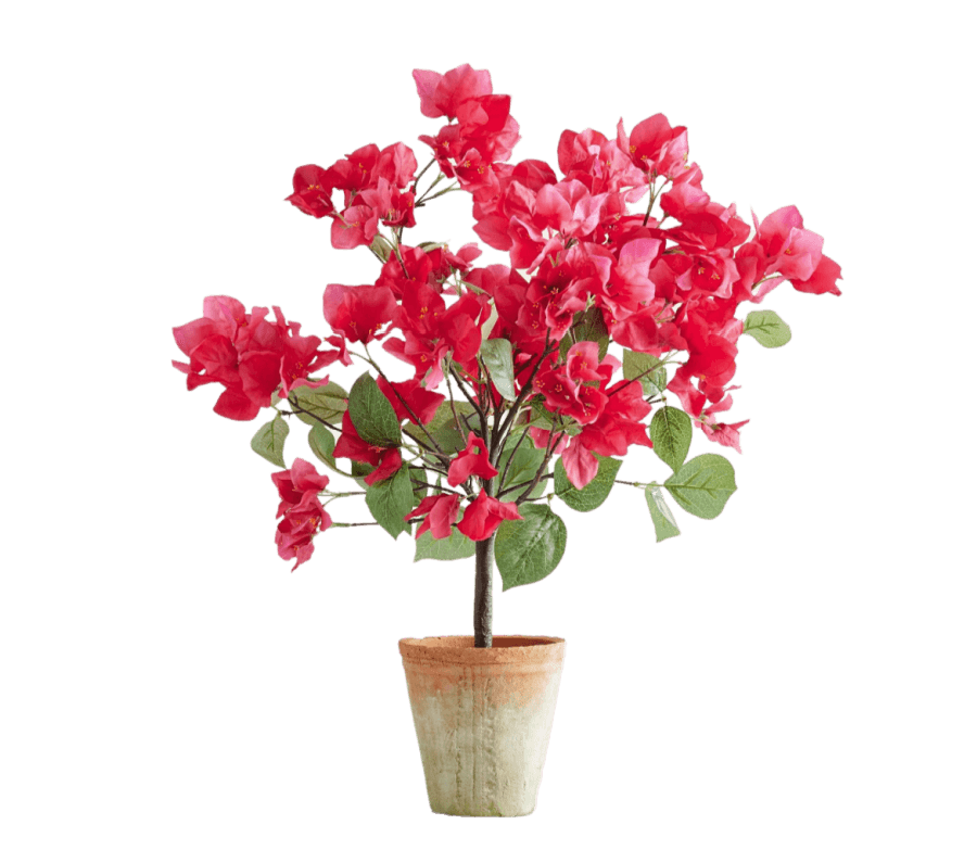 Monday Must Have Faux bougainvillea