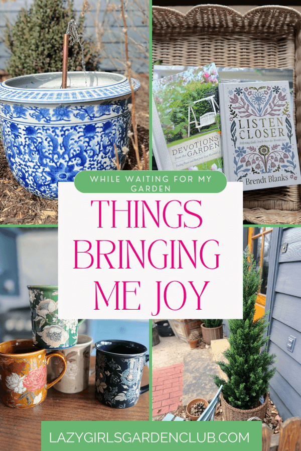 things bringing me joy while I wait for my zinnias