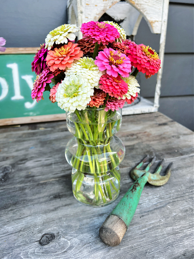 vase full of zinnias