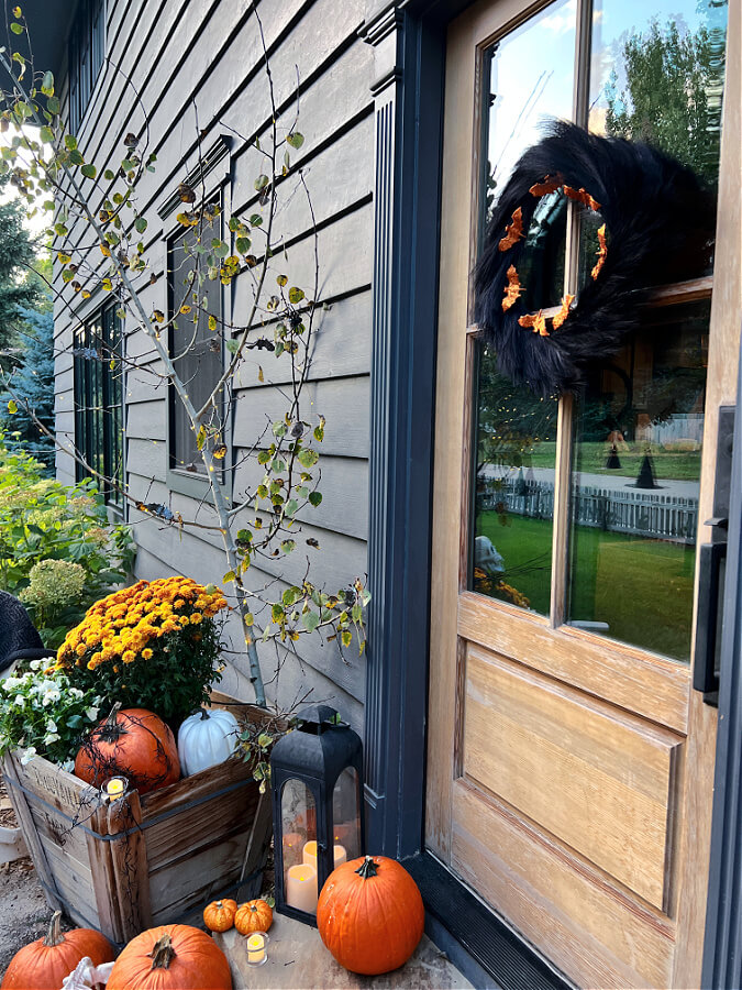 sideview of whimsical  Halloween steps