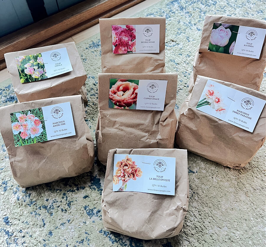 spring bulbs from Flower People