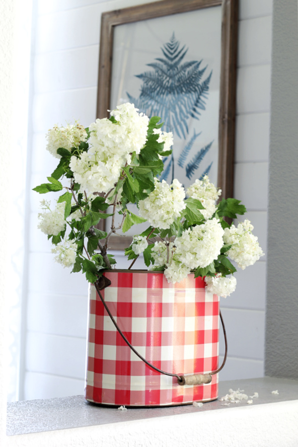 Viburnum in a red and white tin