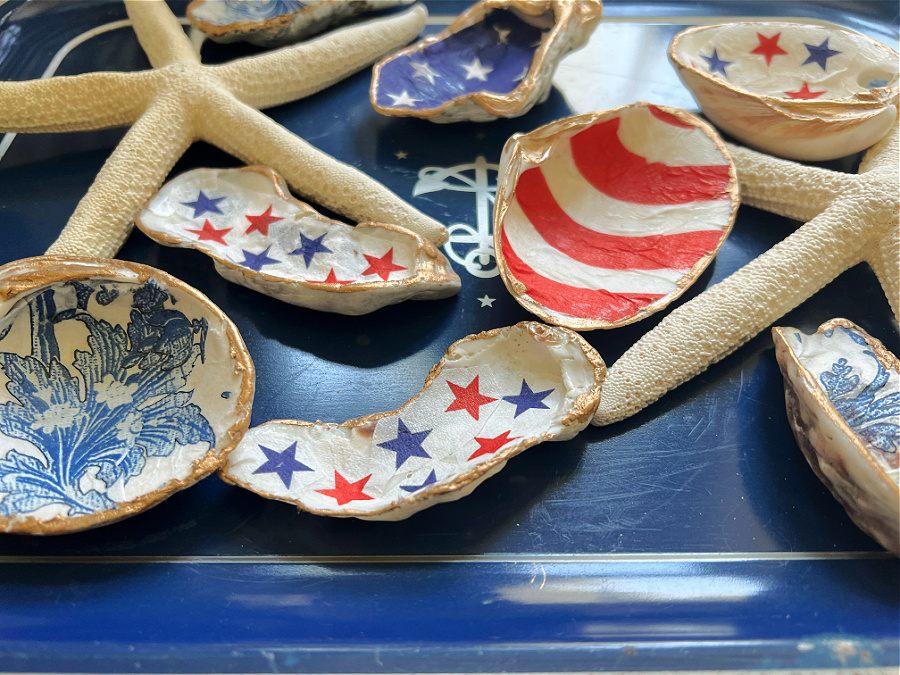 sea shells with red, white and blue and star fish