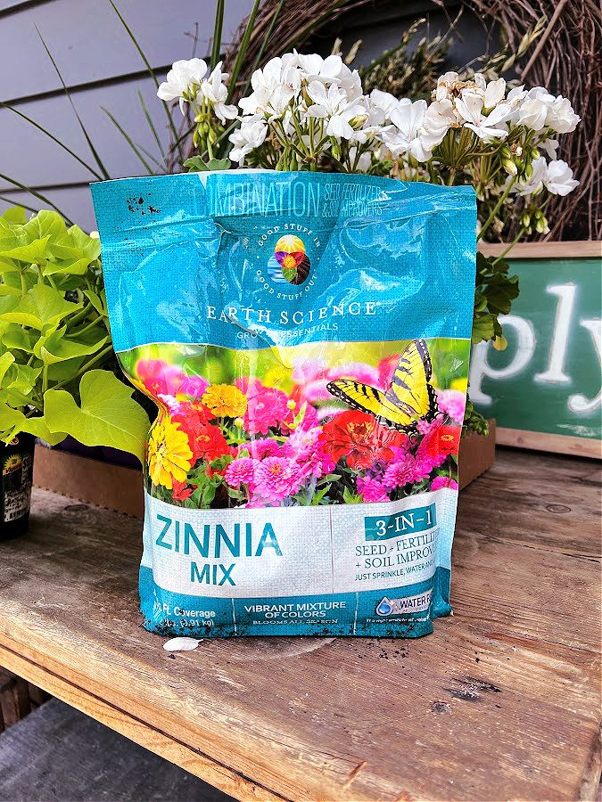 A colorful mix of zinnia seeds in a bag!