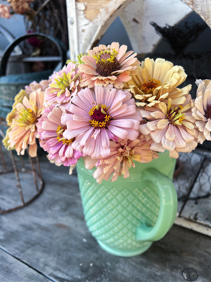green jadeite pitcher with pastel zinnias