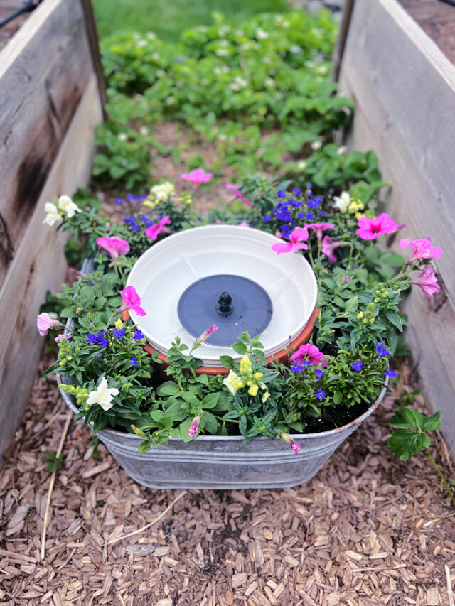 DIY Solar Fountain Ideas for the Garden
