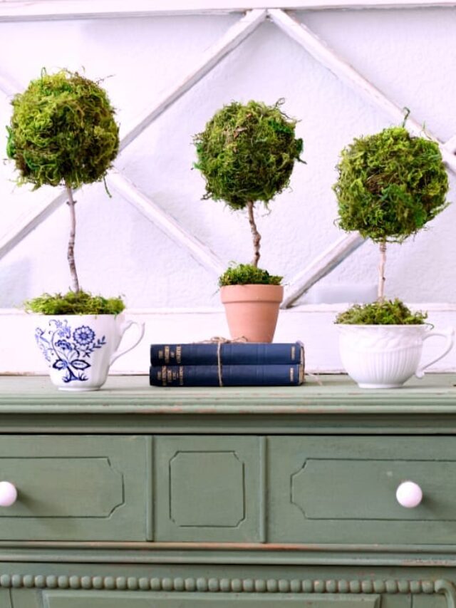 My favorite DIY: Teacup topiary with Dollar Store items.