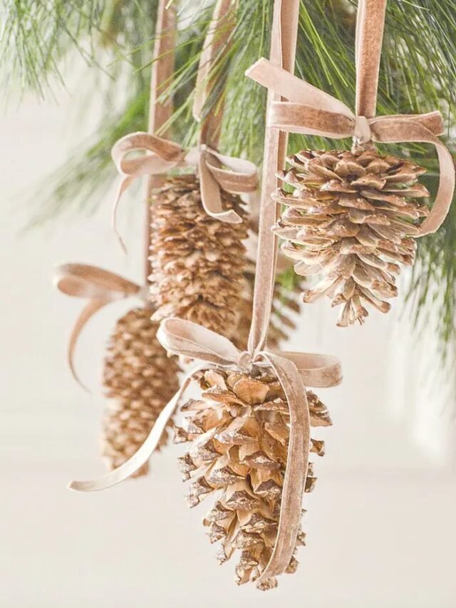 Pinecones for Home Decor