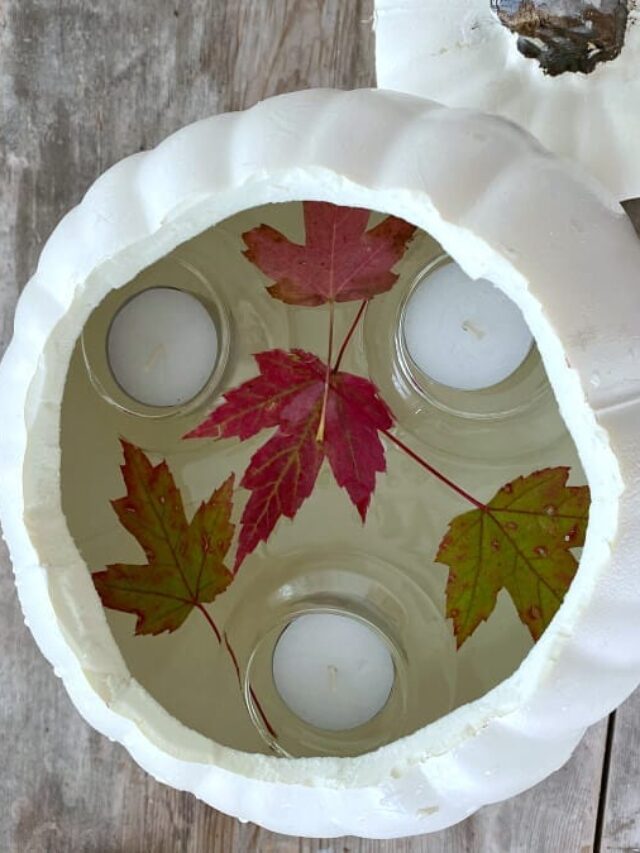 diy solar fountain