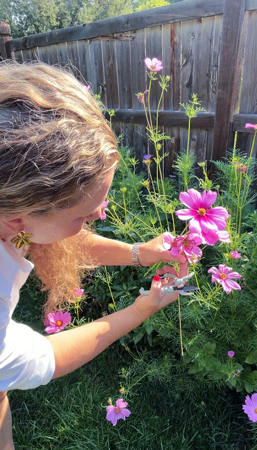 cutting cosmos