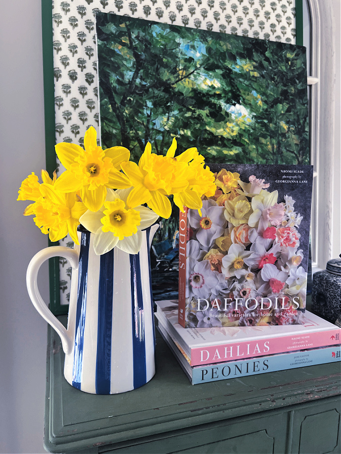 daffodils in blue and white striped pitcher