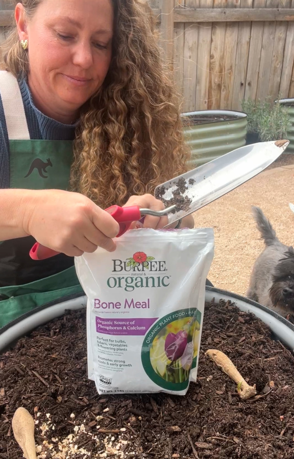 bone meal for dahlia care