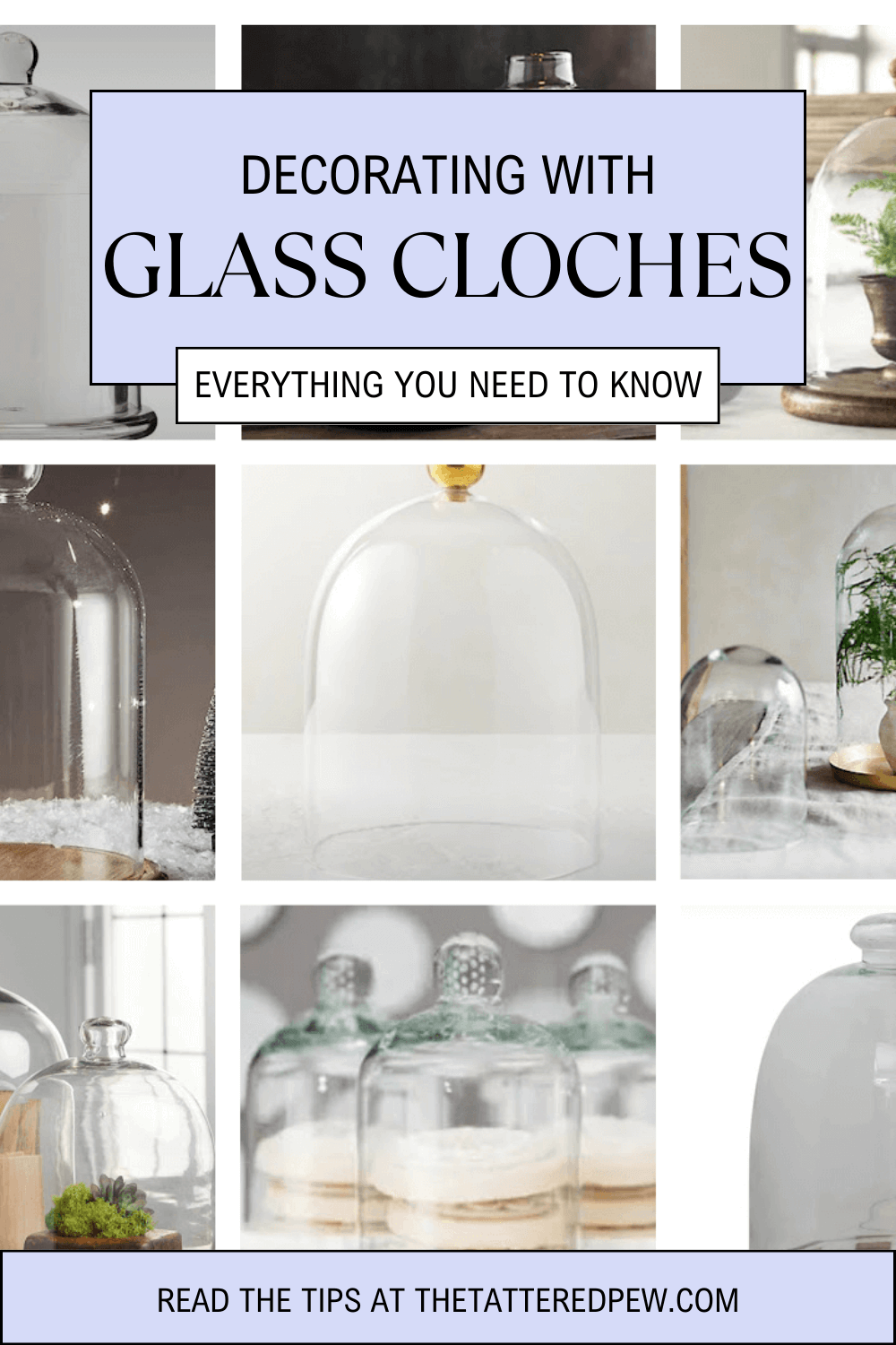 Decorating with Glass Cloches » Grow Beauty With Ease