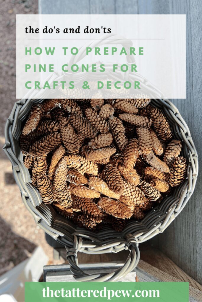 How to Prepare Pine Cones for Crafts or Decor » The Tattered Pew