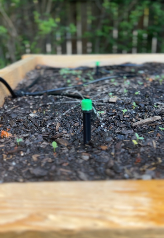 drip system