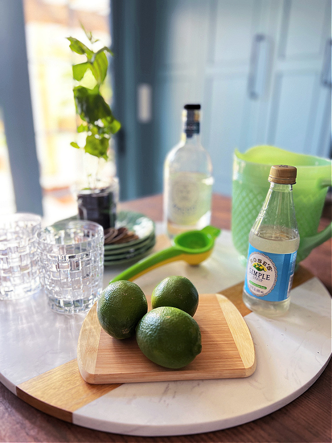 the ingredients for an easy frozen mojito recipe!