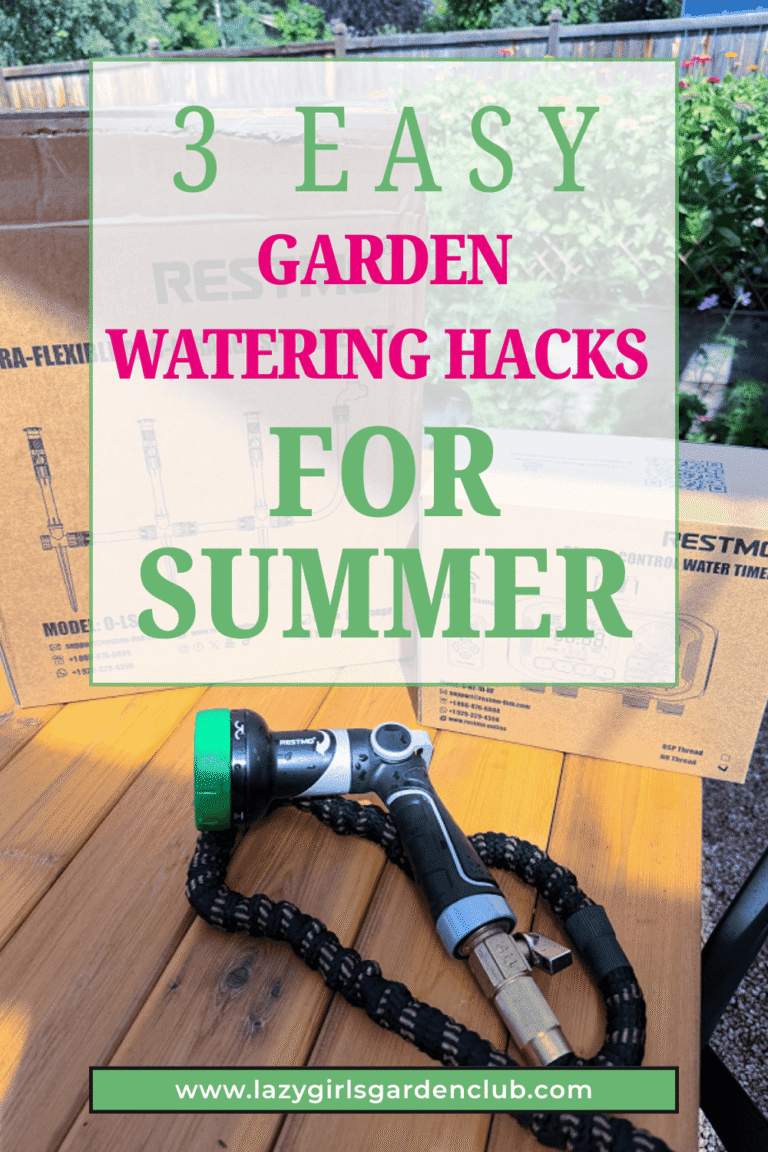 # Easy Garden Watering Hacks for Summer