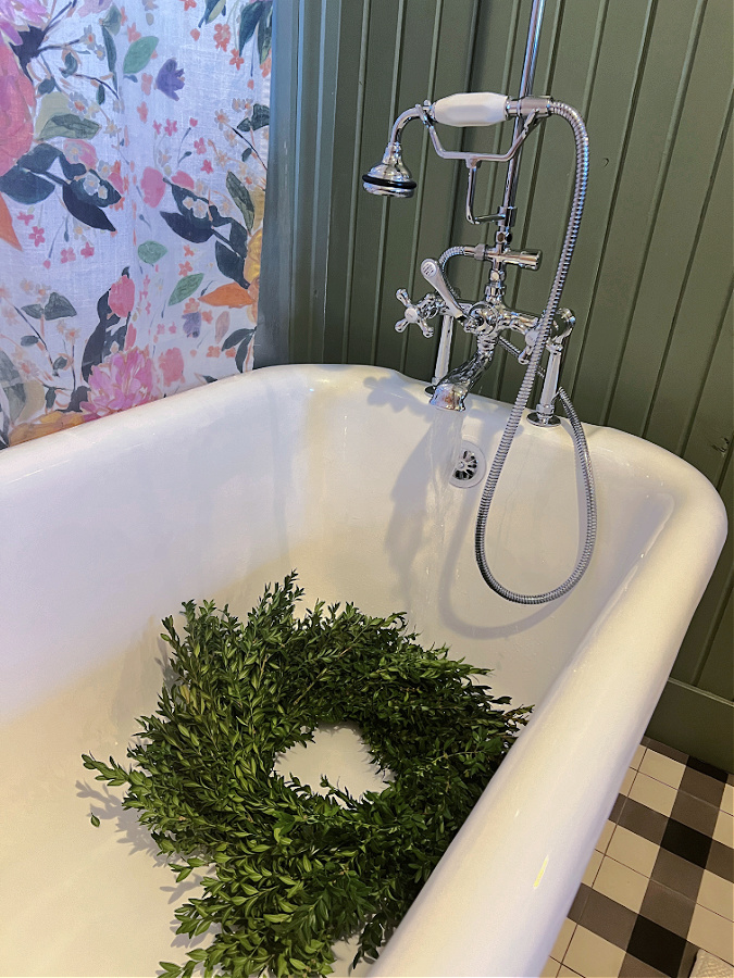 soaking boxwood in tub to extend its life.