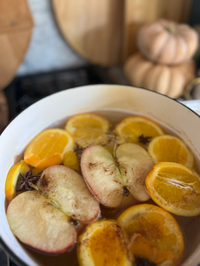 Making a cozy Fall simmer pot!