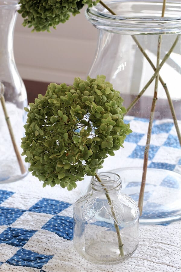 A dried hydrangea and an old apple juice glass bottle.