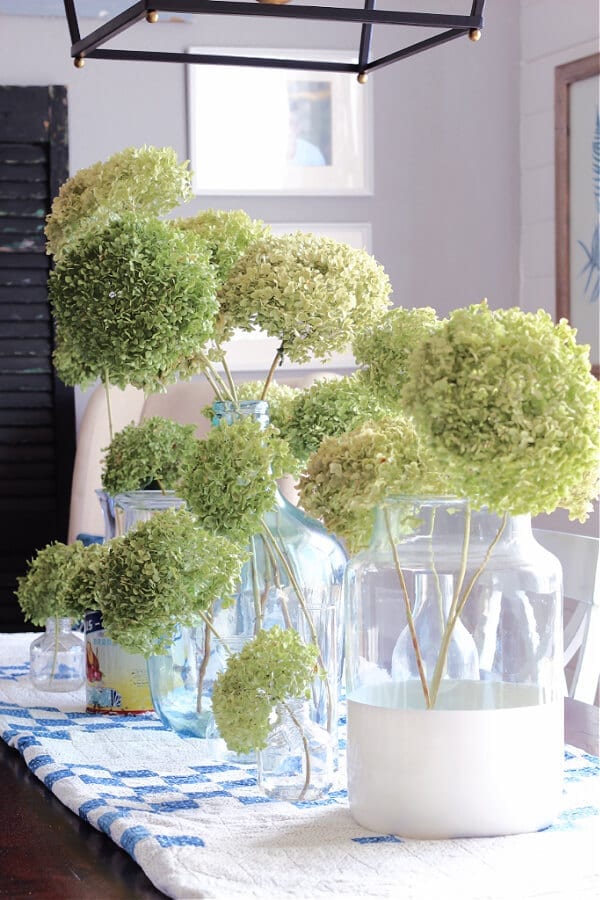 The Secret Tip for Drying Hydrangeas » The Tattered Pew