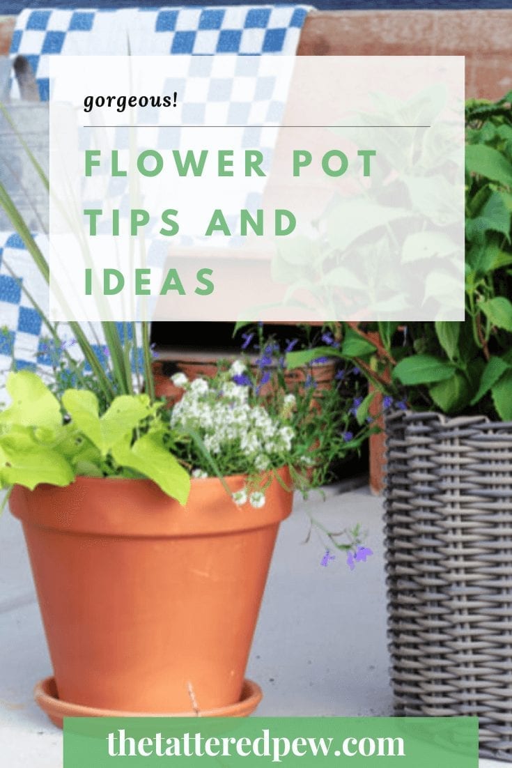 Need some flower pot inspiration? Check out these gorgeous tips and ideas!