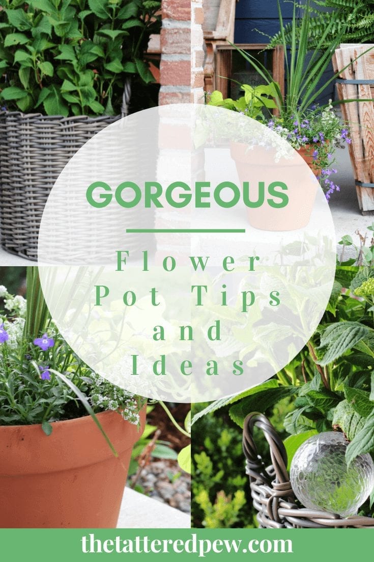 Check out these gorgoeus flower pot tips and ideas!