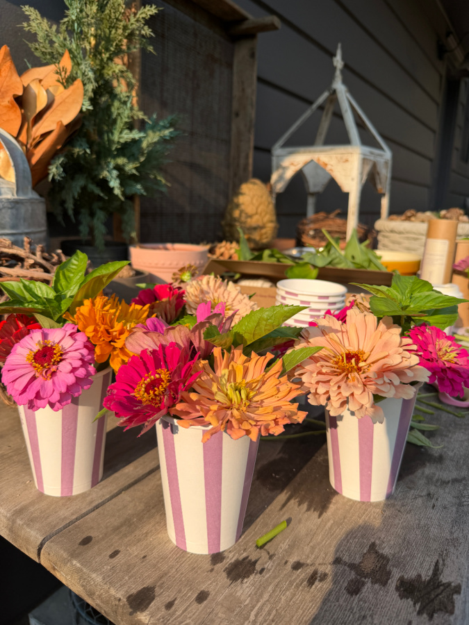 sproutable cups