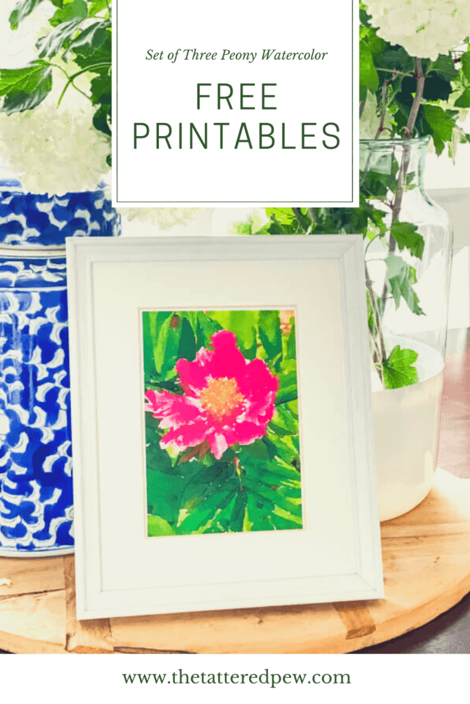Download this gorgeous set of peony prints for free! 