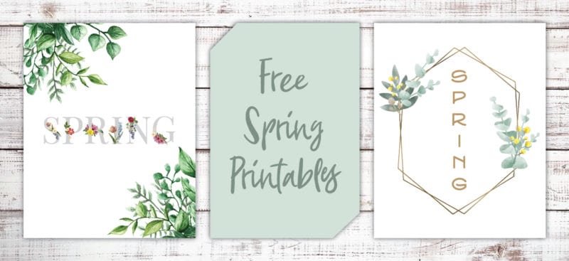 These beautiful modern farmhouse printables for Spring are free and a great way to decorate with style on a budget.