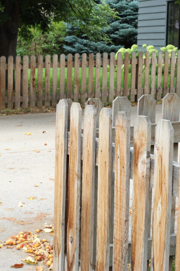 crab apples and wooden fences in our front yard tour!