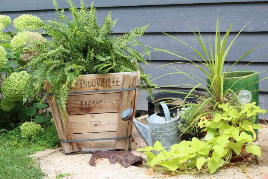 Our front yard tour featuring my favorite wooden crate, planters and watering can!