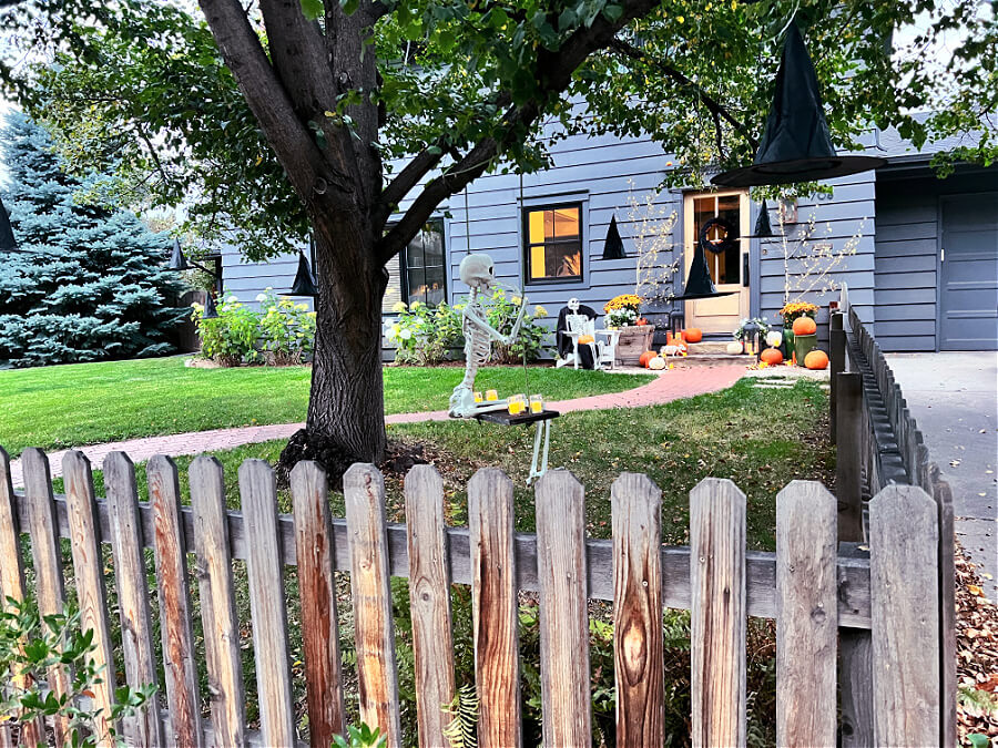 Picket fence peeking at skeleton swinging out front for Halloween!
