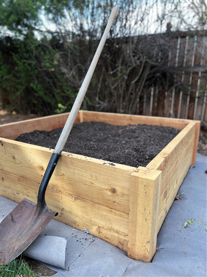 A full raised garden bed