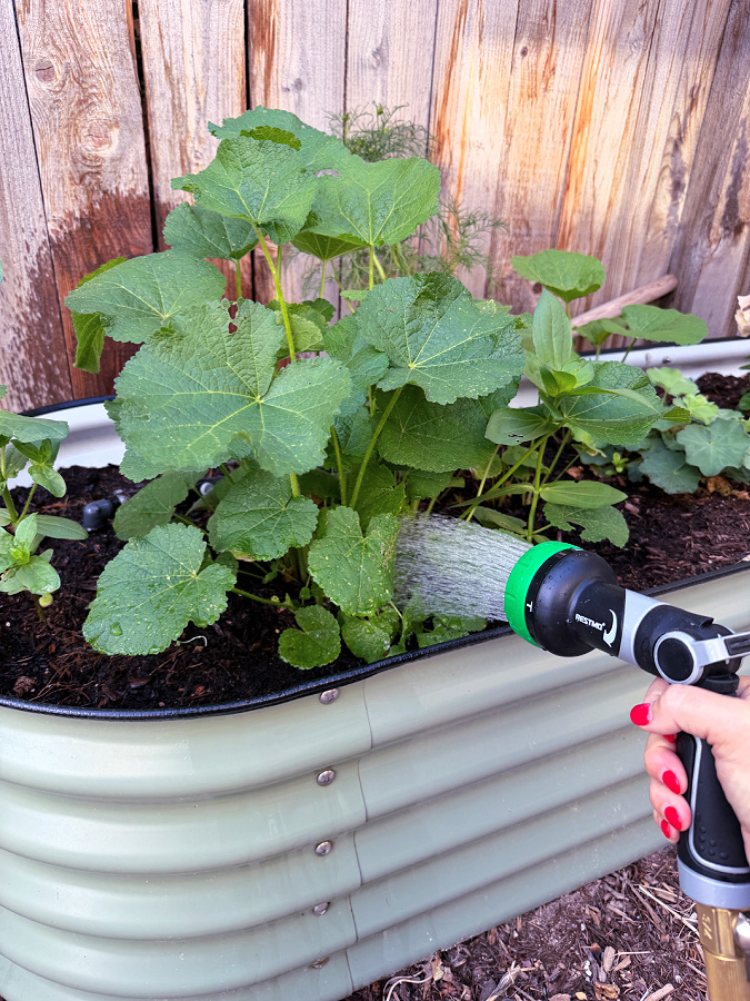 July gardening favorites water nozzle for your hose