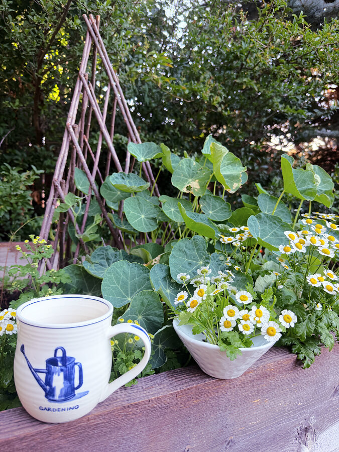 my favorite garden mug and vase