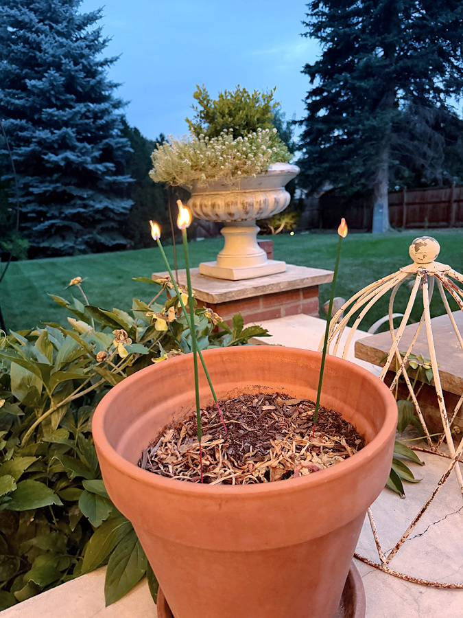 citronella sticks