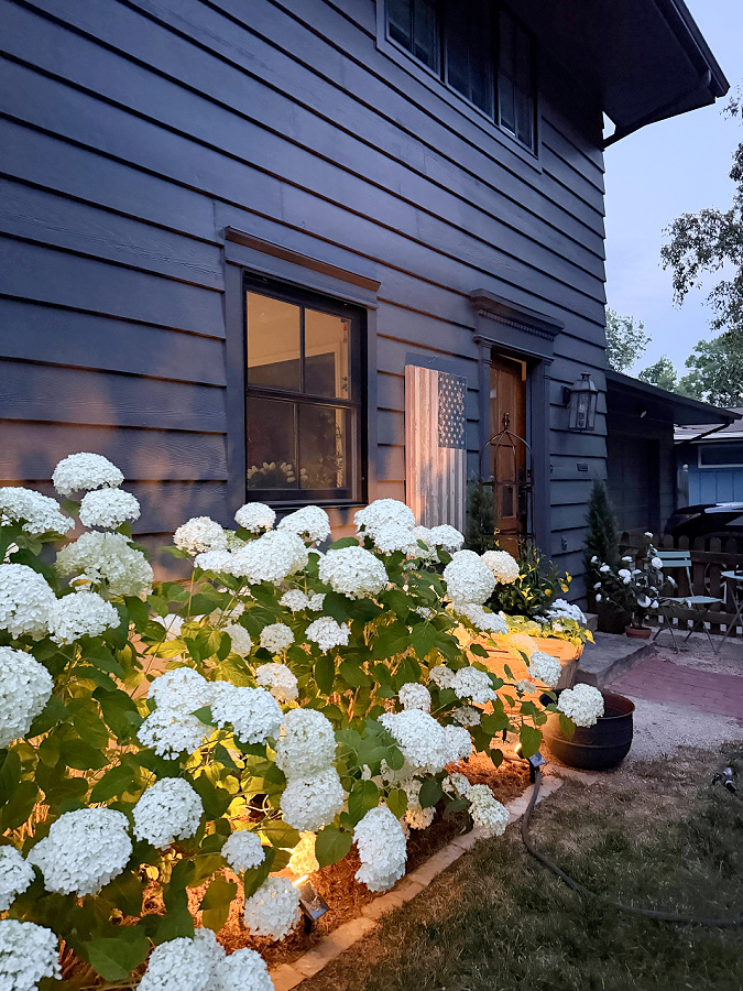 solar lights with hydrangeas
