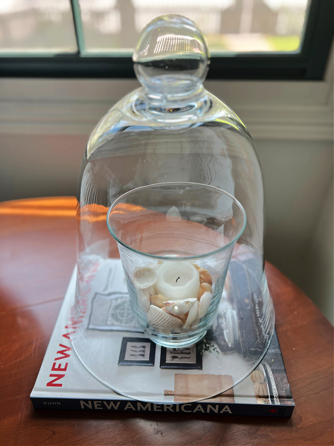 glass cloche over sea shells and book