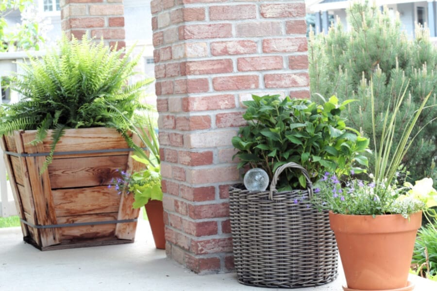 Tips and tricks for gorgeous potted plants for your porch!