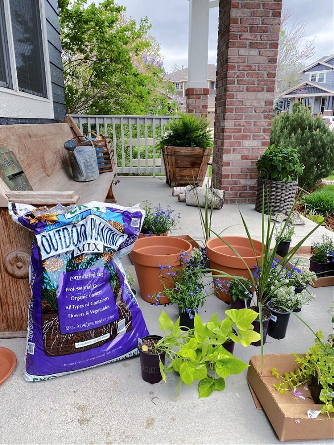 Preparing to plant our summer pots!