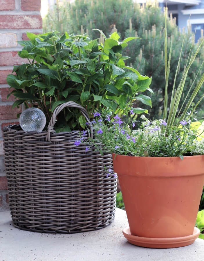 Potted hydrangeas and flowers for the summer porch