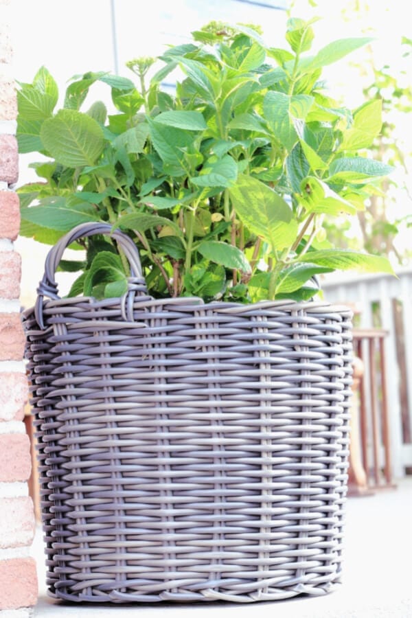 Outdoor baskets for plants? Yes please!