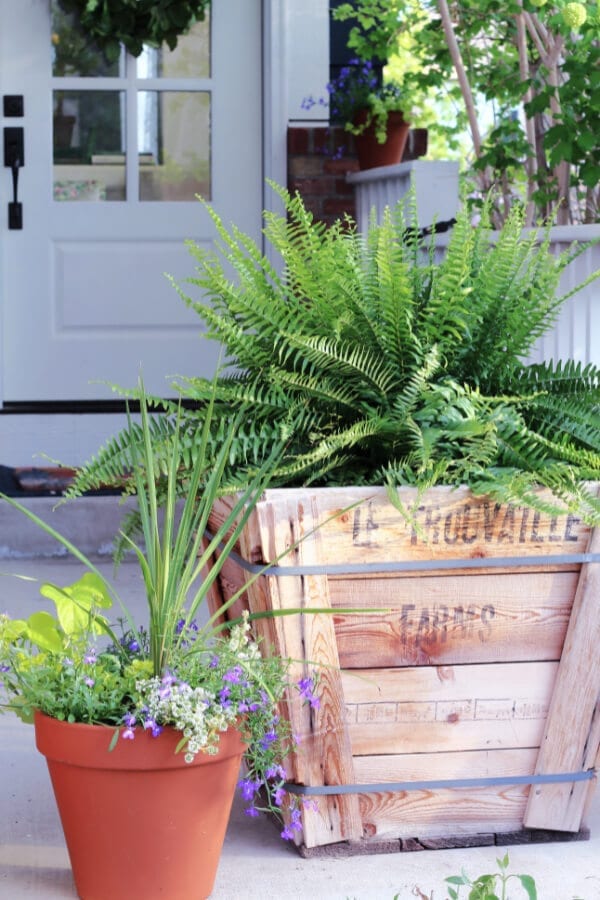 Unique container ideas for plants and flowers on your porch