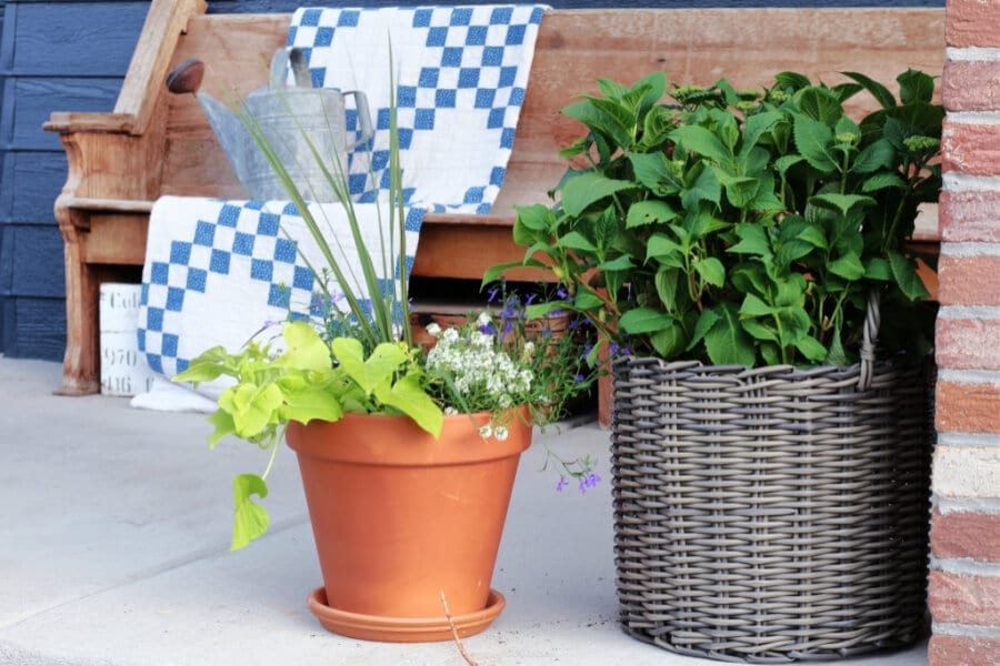 Beautiful potted porch plants!